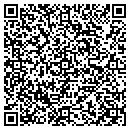QR code with Project 4131 Inc contacts