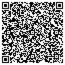 QR code with Precision Automotive contacts