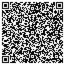 QR code with Pro Auto Center contacts