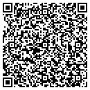 QR code with Central Georgia Auto contacts