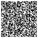 QR code with Psenka Tamatha M MD contacts
