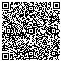 QR code with OMG Spa contacts