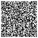 QR code with Professional J Service contacts