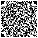 QR code with Premier Garage contacts