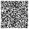 QR code with Salon contacts