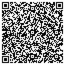 QR code with Professional Auto contacts