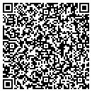 QR code with Professional Nails contacts