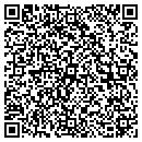 QR code with Premier Auto Styling contacts