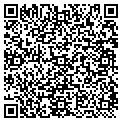 QR code with Tmlr contacts