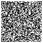QR code with Badlands Cleanup Service contacts