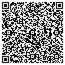 QR code with Chapins Svcs contacts