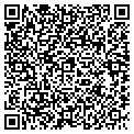 QR code with Lillie's contacts