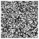 QR code with Professional Auto Service contacts