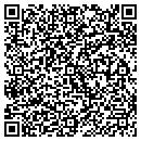 QR code with Process255 LLC contacts