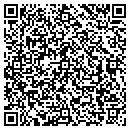 QR code with Precision Automotive contacts