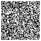QR code with Baldwin Brothers LLC contacts