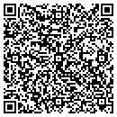 QR code with Professional Corporate Service Ltd contacts