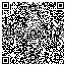 QR code with Baumgartner James M contacts