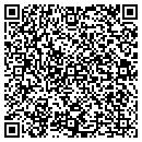 QR code with Pyrate Instillation contacts