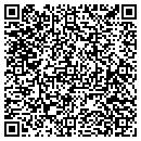 QR code with Cyclone Automotive contacts