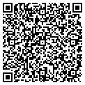 QR code with T&G Auto contacts
