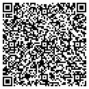 QR code with Celestin Tax Service contacts