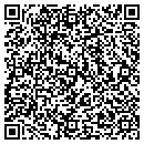 QR code with Pulsar Technologies LLC contacts
