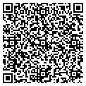 QR code with X Cel contacts