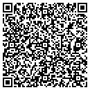 QR code with Premier Auto Center Ii contacts
