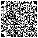 QR code with Pubilc Works contacts