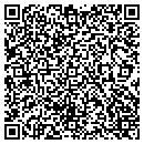 QR code with Pyramid Resume Service contacts