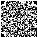 QR code with Publix contacts