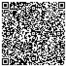 QR code with Pumps & Pony Salon Pins contacts