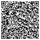 QR code with Pro 1 Services contacts