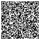 QR code with Pro Detective Service contacts