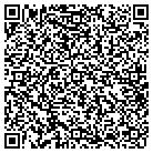 QR code with Pullins Lighting Service contacts