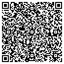 QR code with Premier Auto Service contacts
