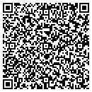 QR code with Preferred Styles contacts
