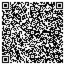 QR code with Premier Auto Service contacts