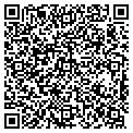 QR code with Yp4l LLC contacts