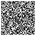 QR code with E Carr contacts