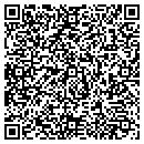 QR code with Chaney Services contacts