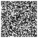 QR code with Cyber Services contacts