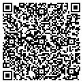 QR code with Wileys contacts