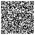 QR code with Neumer contacts
