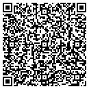QR code with Cinelli Suzanne DC contacts