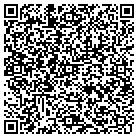 QR code with Professional Ice Carving contacts