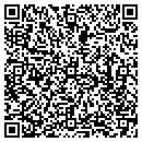 QR code with Premium Auto Plex contacts