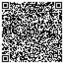 QR code with Pzilla Auto contacts