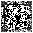 QR code with Przybyla Dennis G DC contacts